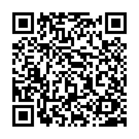 QR code for 009P