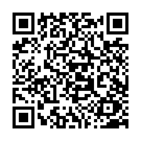 QR code for 010N