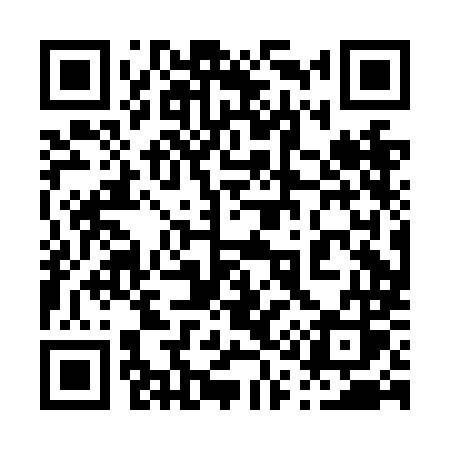 QR code for 010NMS