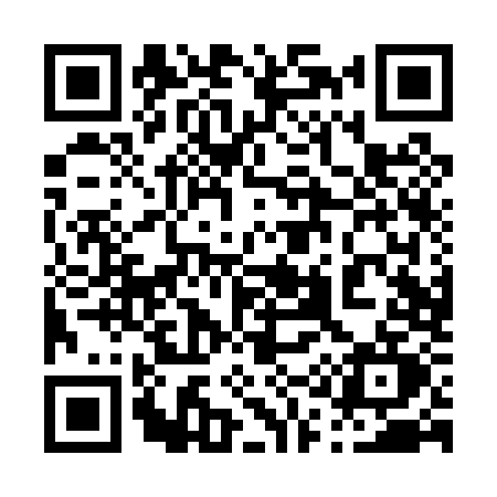 QR code for 010P