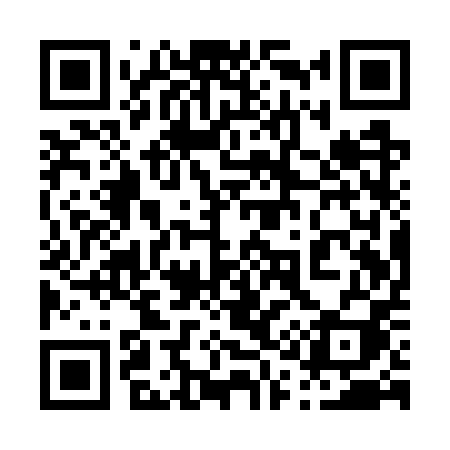 QR code for 011WPI