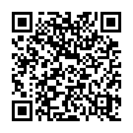 QR code for 013SFX