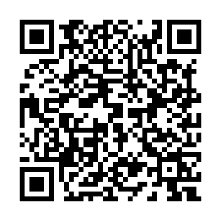 QR code for 013X