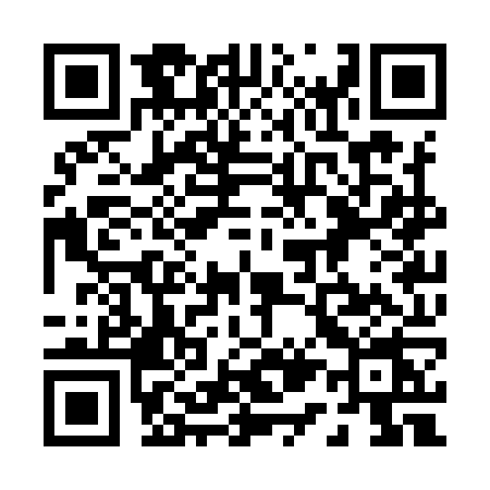 QR code for 013Y