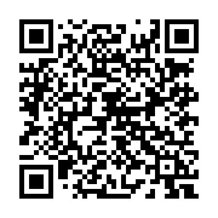 QR code for 038LNH