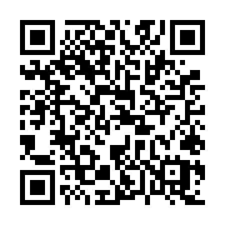 QR code for 065FLU