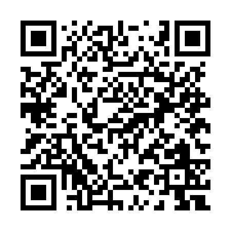 QR code for 095MS