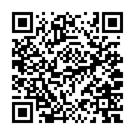 QR code for 096PO