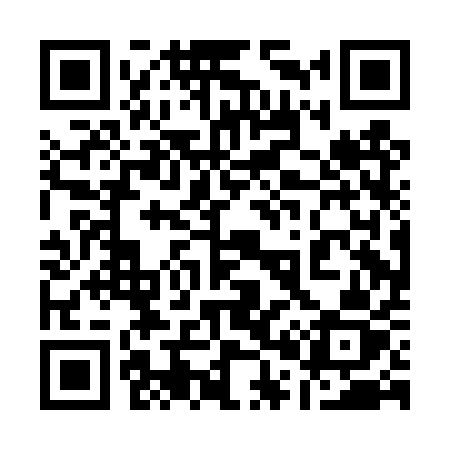 QR code for 100DQZ