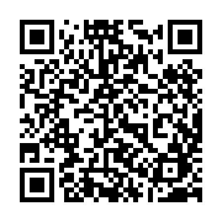 QR code for 100PIB