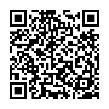 QR code for 101NFI
