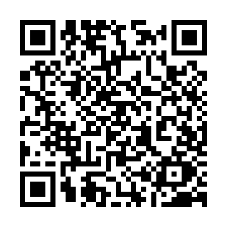 QR code for 101Q