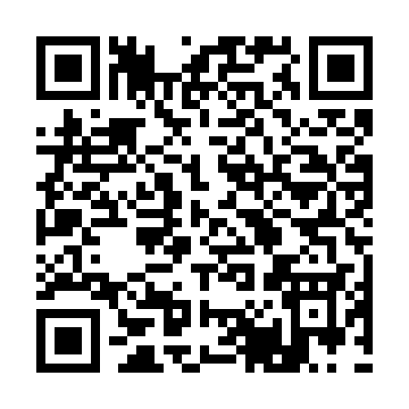 QR code for 101WS