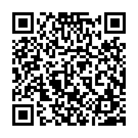 QR code for 110LSV
