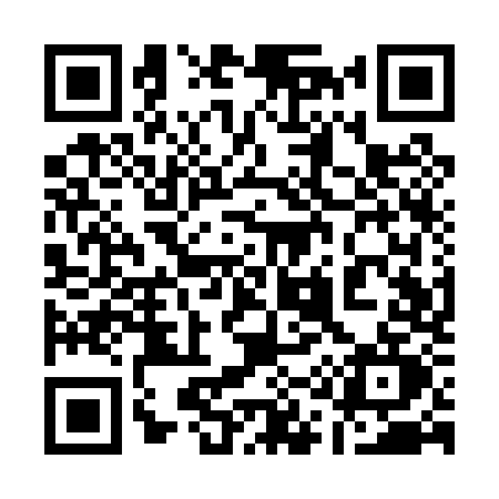 QR code for 111P