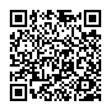 QR code for 111V
