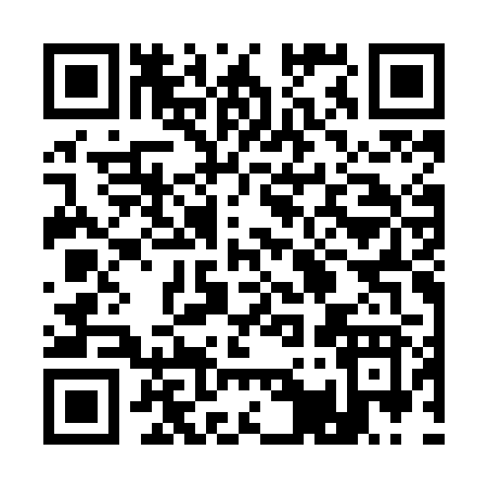 QR code for 113MB