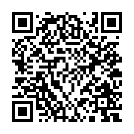 QR code for 113PZ