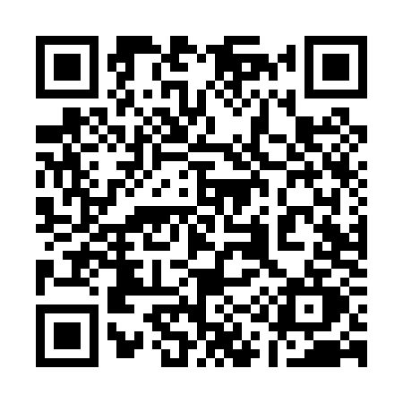 QR code for 114P