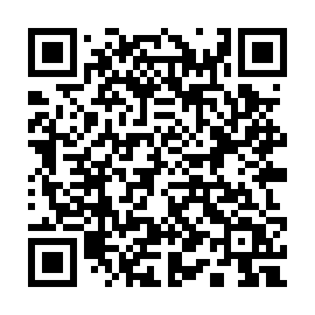 QR code for 119PZT