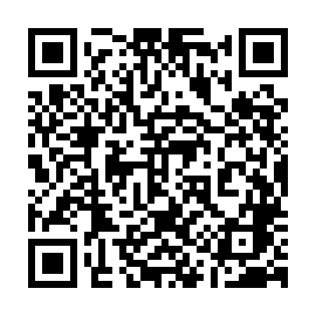 QR code for 119QLC