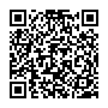 QR code for 119QVQ