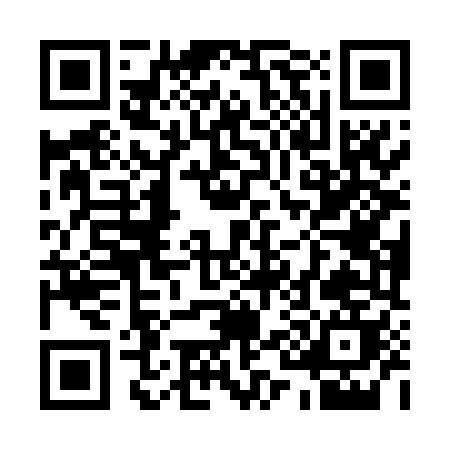 QR code for 119TM