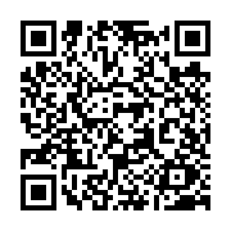 QR code for 119V
