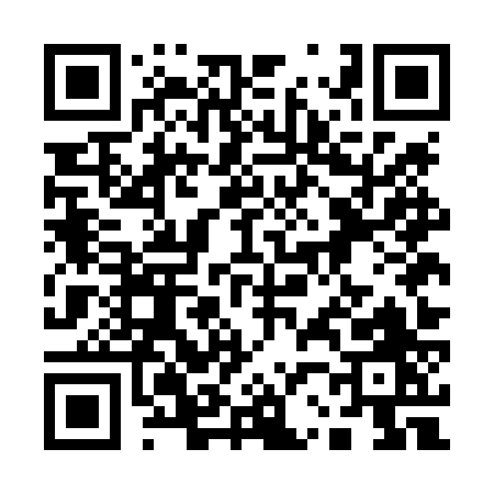 QR code for 125LZ