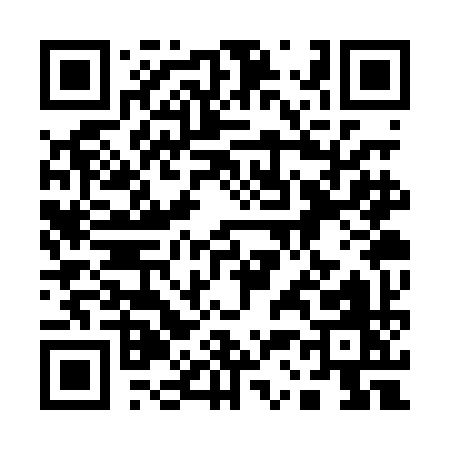 QR code for 133PI