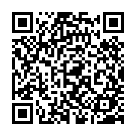 QR code for 133PMM