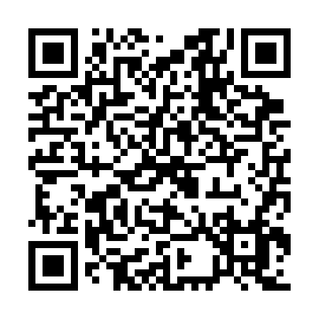 QR code for 133SF