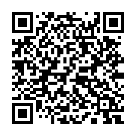 QR code for 141TPT