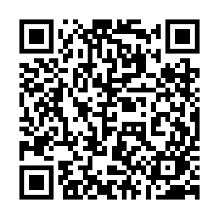 QR code for 161CEO