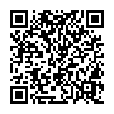 QR code for 161EMV