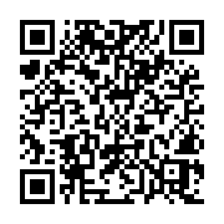 QR code for 161MMR