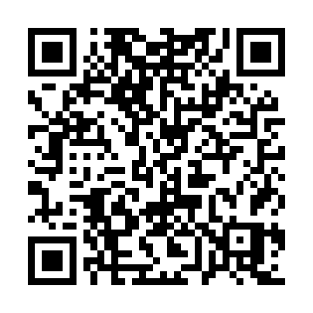 QR code for 161MVS