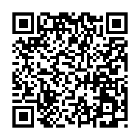 QR code for 161PT