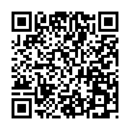 QR code for 161QL