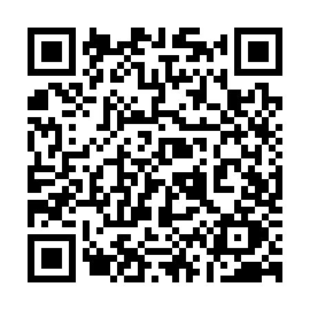 QR code for 161S