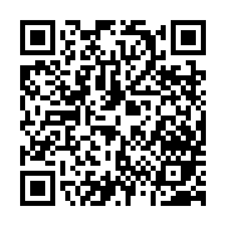 QR code for 161SM