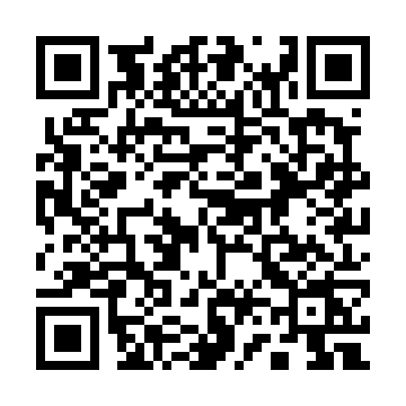 QR code for 161T