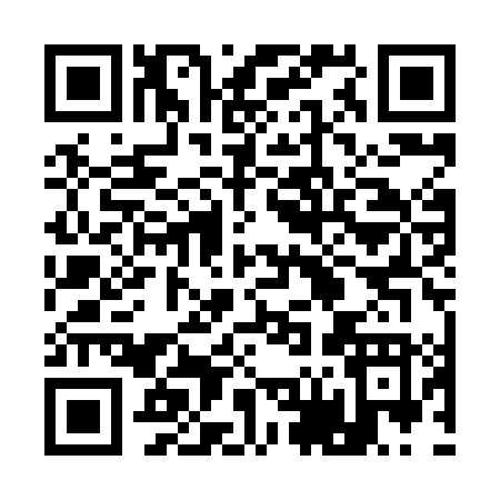 QR code for 161XL