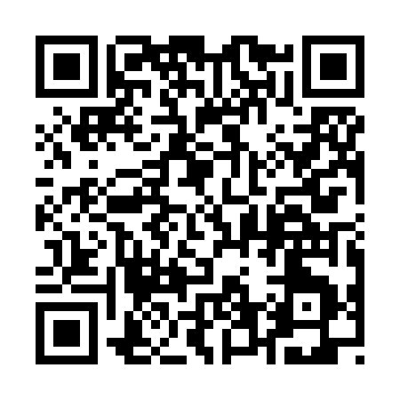 QR code for 161ZG