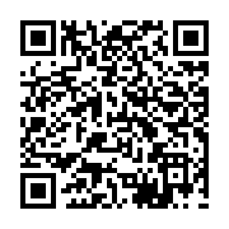 QR code for 163IV