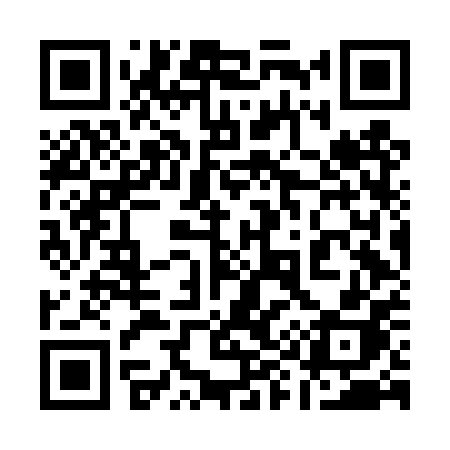 QR code for 196DPH