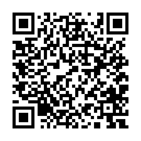 QR code for 196MX