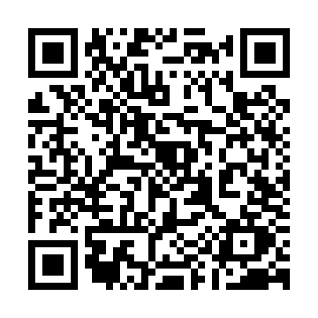 QR code for 196P