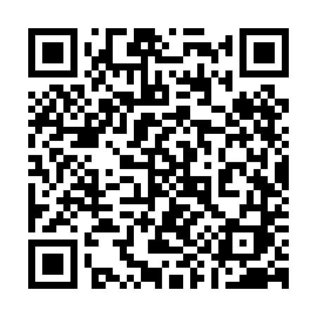 QR code for 196PDI
