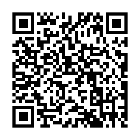 QR code for 196PP
